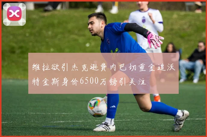 维拉欲引杰克逊费内巴切重金追沃特金斯身价6500万镑引关注